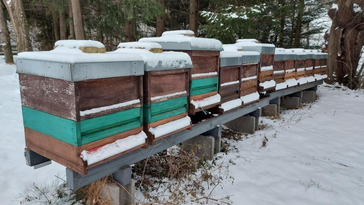 Bienenstand in Laaben im Winter